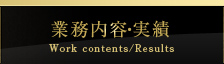 業務内容・実績